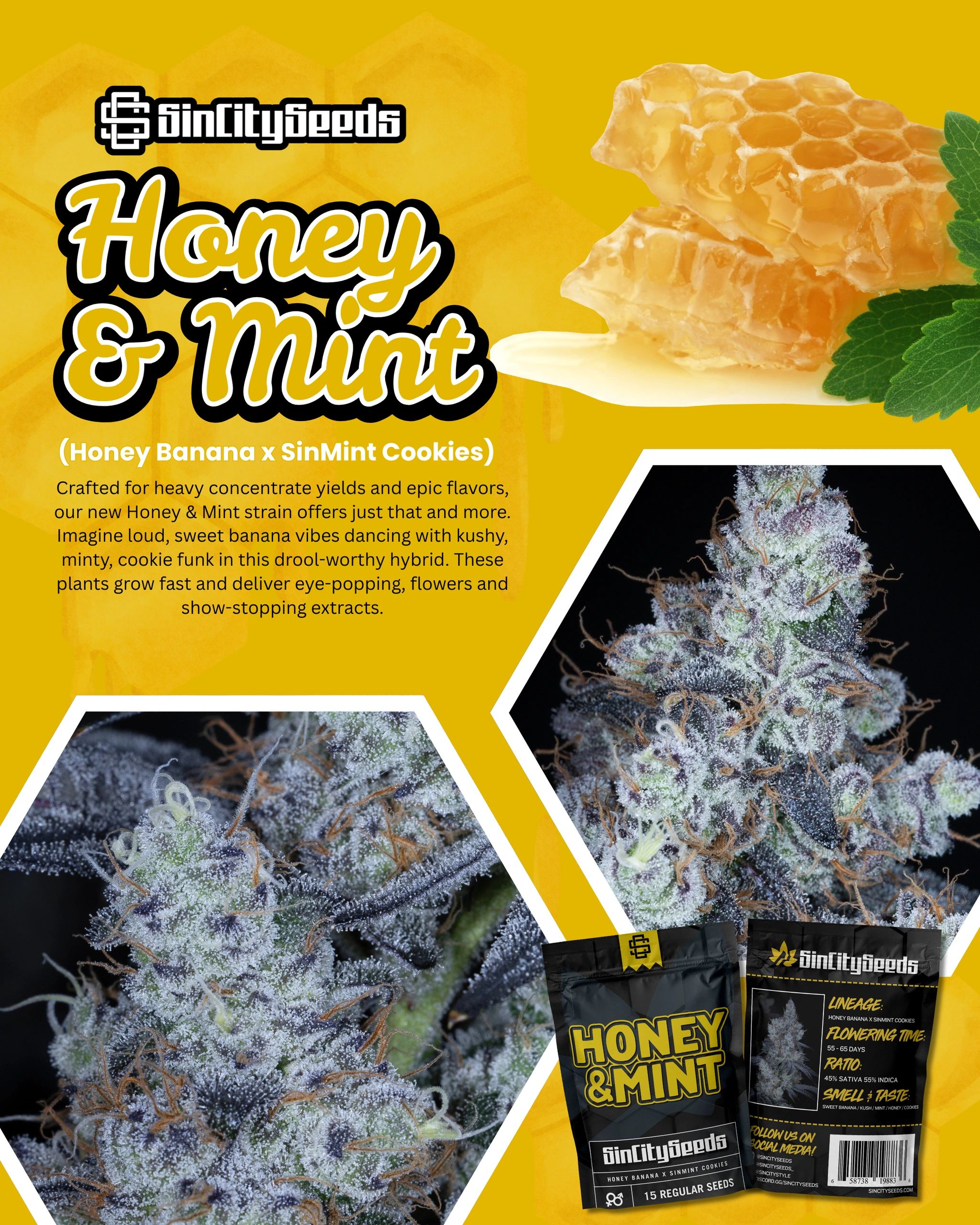 Seeds For Life Giveaway!